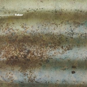 Tuber – La Crudeza Del Tiempo